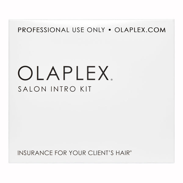 alt=salon intro kit